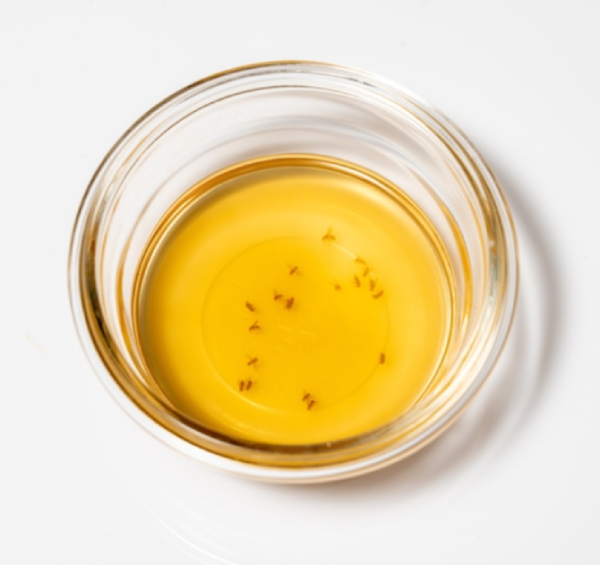 Apple cider vinegar trap with dead fruit flies