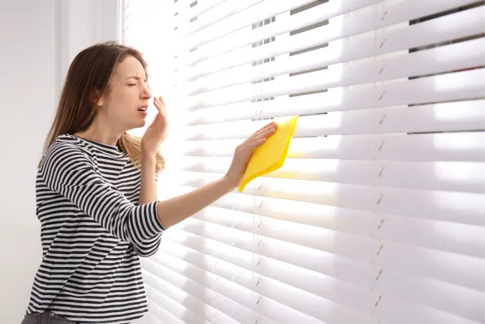 Woman sneezing while dusting window blinds.