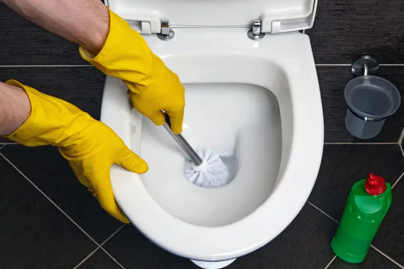 Person using toilet brush to clean toilet.