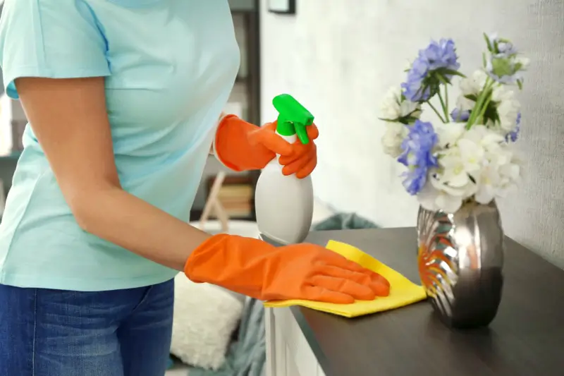 Woman damp wiping furniture.