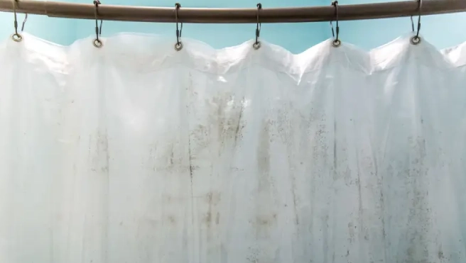 Mildew on shower curtain.