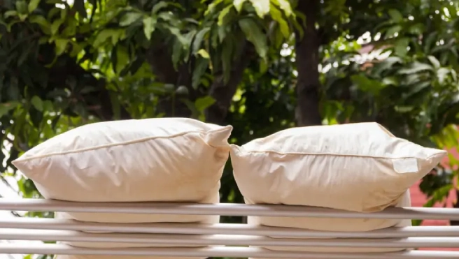 Pillows air drying after hand washing.