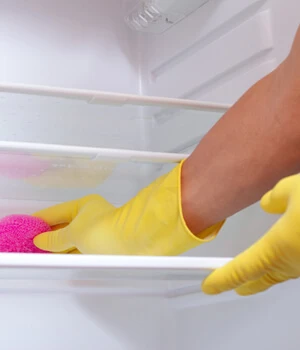 cleaning the refrigerator.