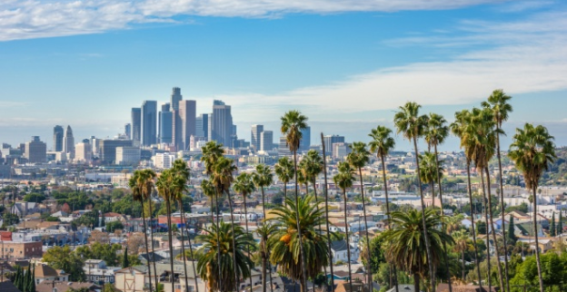  Los Angeles downtown skyline and palm trees in foreground.