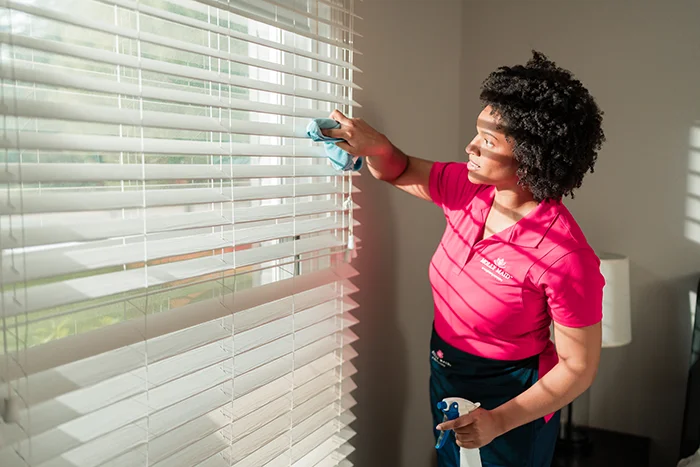 A Molly Maid professional providing a one-time cleaning service