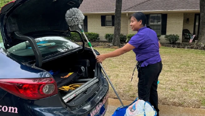 molly maid cleaning in dallas fort worth, tx.