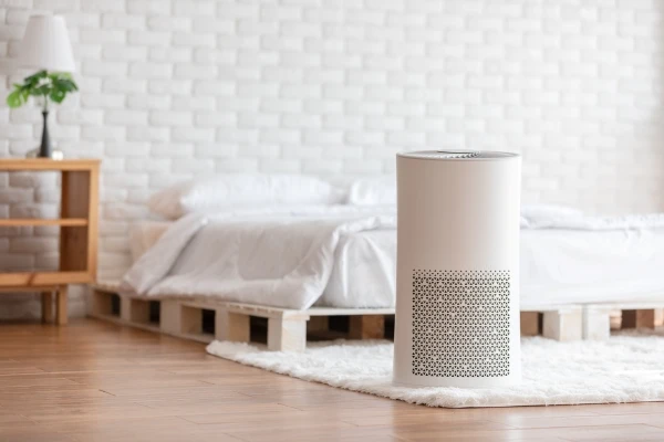 Do air purifiers work? Everything you need to know according to experts