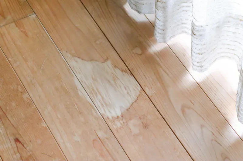 How could I remove these stains?? HELP PLS!! : r/CleaningTips