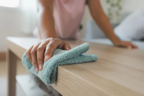 Housekeeping Cleaning Supplies - Wiping Rags - Microfiber Towels