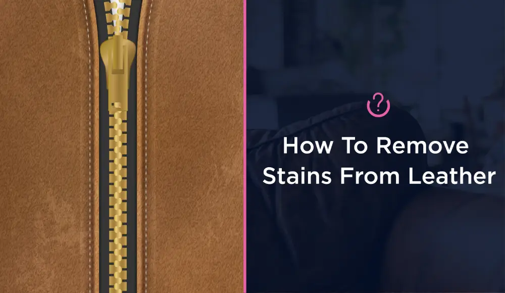 How to Remove Stains from Leather | Molly Maid