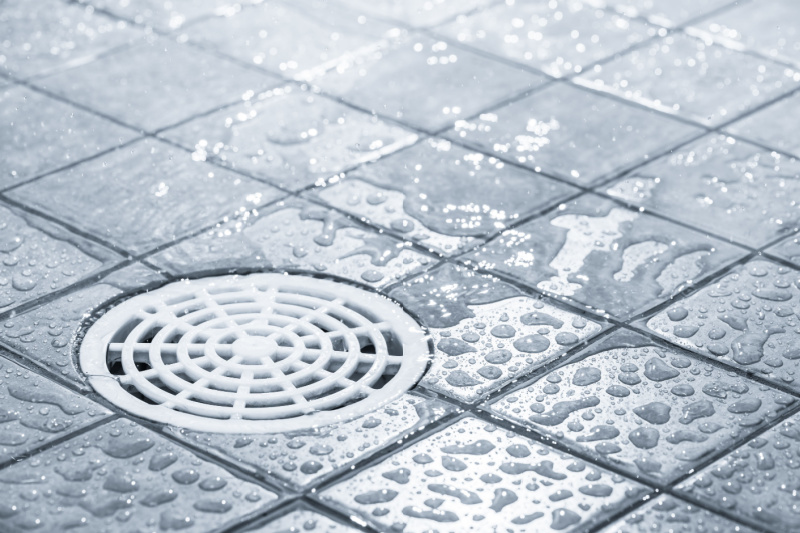 Close up of a shower floor drain