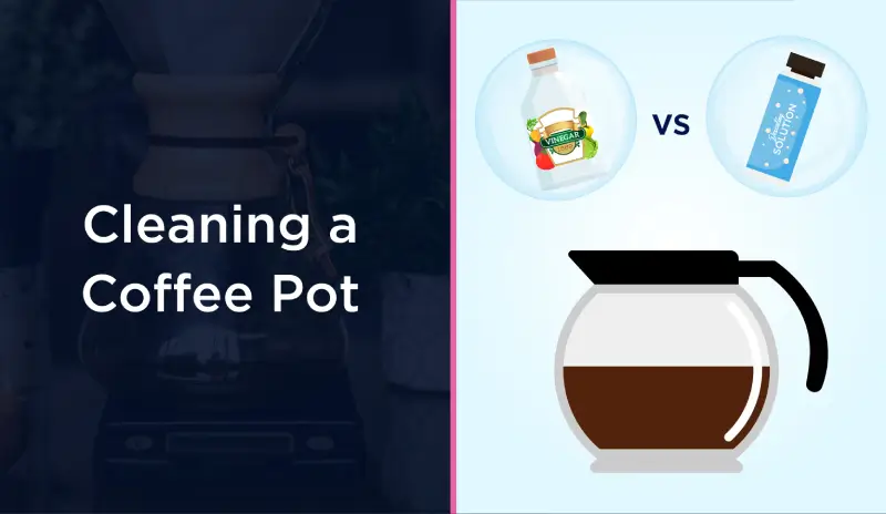 Vinegar vs. Descaling Solution for Coffee Pot Molly Maid