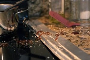 Grease on the edge of a stovetop and countertop