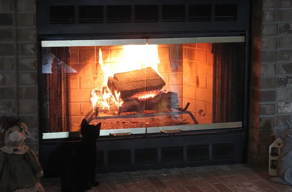 A lit fireplace with glass doors