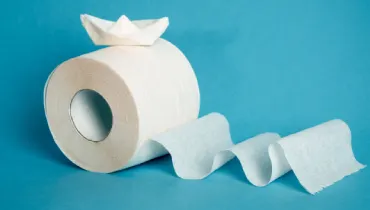 A roll of toilet paper with an origami boat on it.