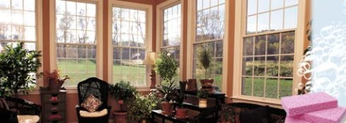 living room windows