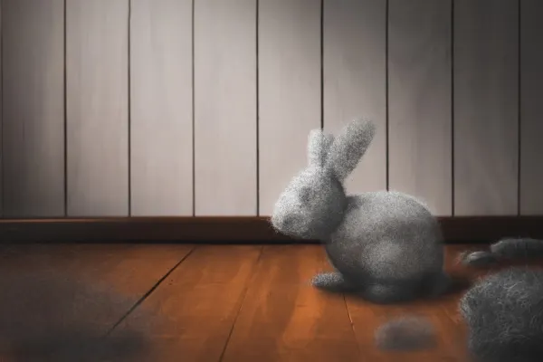 Dust bunny on dirty floor.