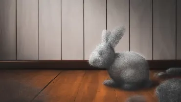 Dust bunny on dirty floor.