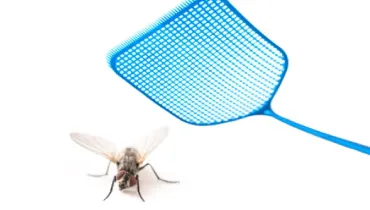 Blue flyswatter attacking a fly